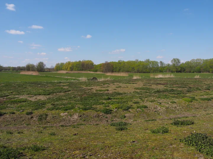 Kalkense Meersen (België)